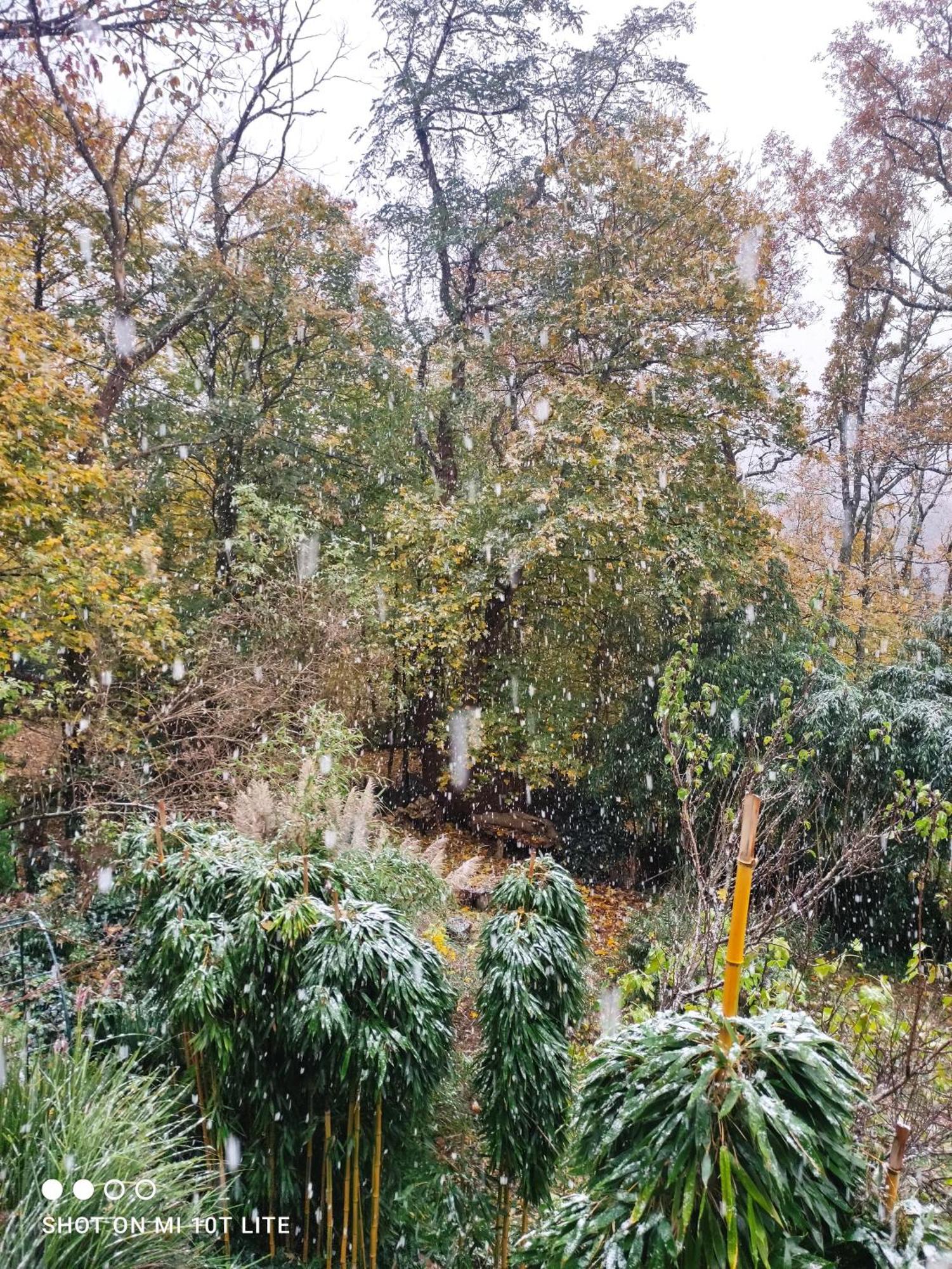 Bievres Maison Des Bois מראה חיצוני תמונה